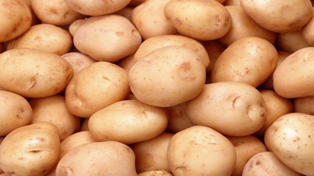 Her gün patates tüketmek için 4 neden! Zararı değil yararı var: Her şekli şifa dağıtıyor