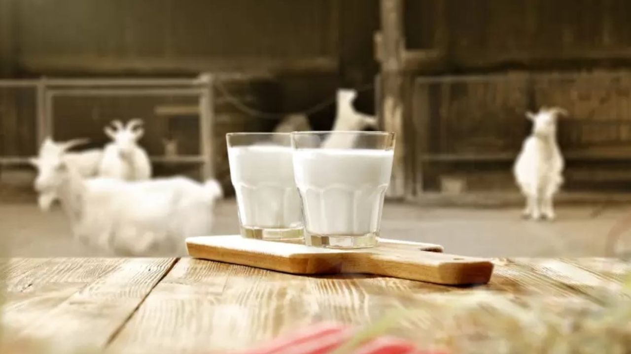 Yabancılar bardak bardak içiyor! Hiç hasta olmadan kışı atlatmanın formülünü bulmuşlar