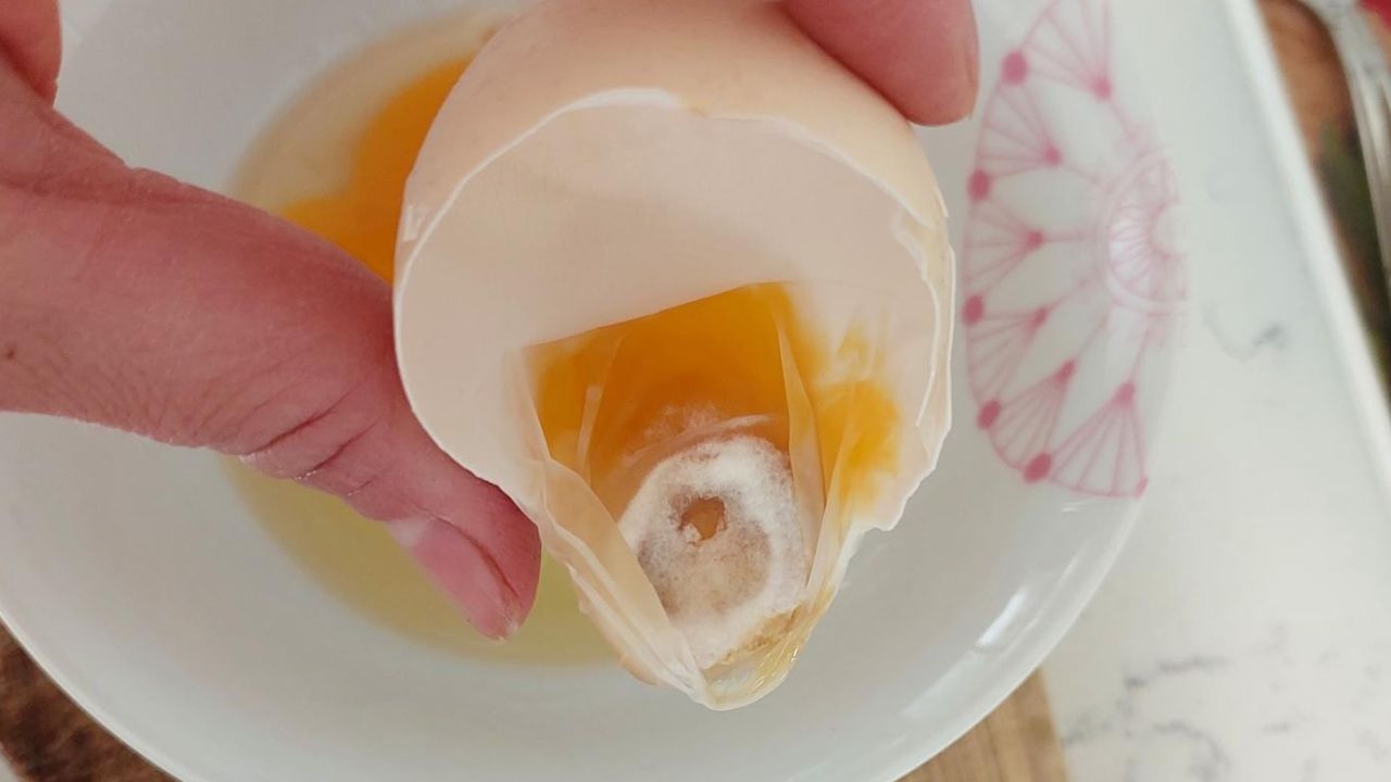 Satın almadan bile öğrenebilirsiniz! Taze ve bayat yumurtayı ayırt etmenin pratik yöntemi!