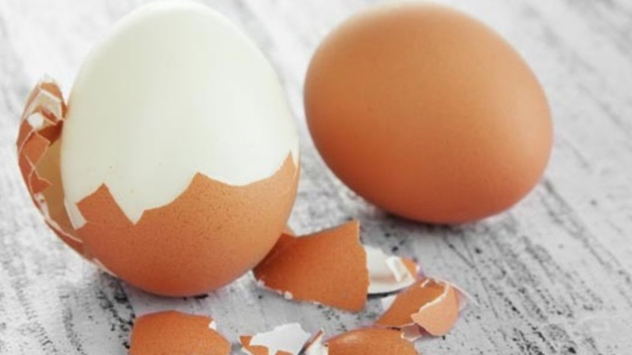 Yumurta Fiyatları Havada, Artık Kredi Kartıyla da Alabilirsiniz!