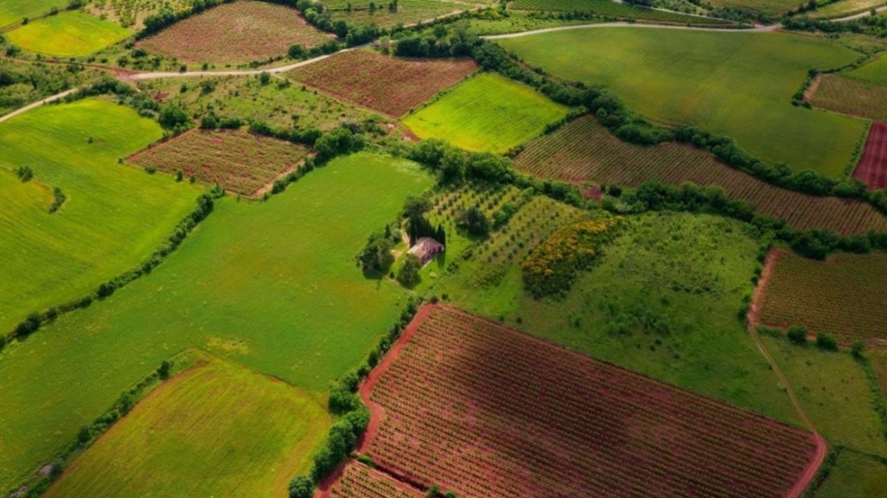 Milli Emlak Ankara, Sivas, Niğde'de arazi satıyor! Yatırım yapmak isteyenlere büyük fırsat