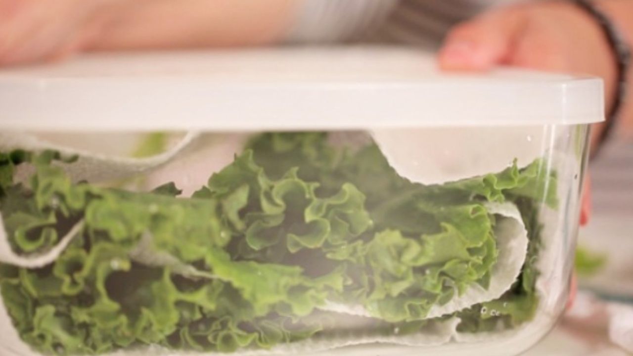 Buzdolabındaki yeşillikler asla bozulmayacak! Üzerine koyup bekleyin yeter