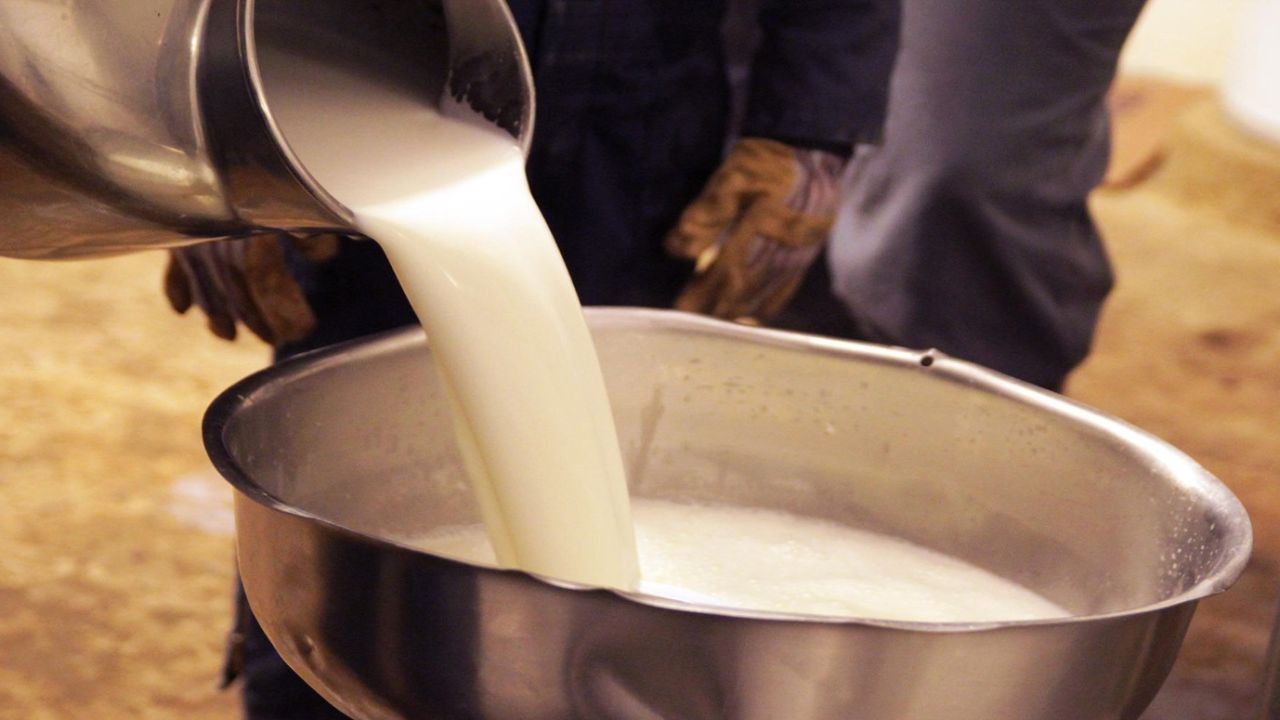 Bu yöntemle süt kaynarken asla taşmıyor! Sütün taşmasını önleyen pratik yöntem