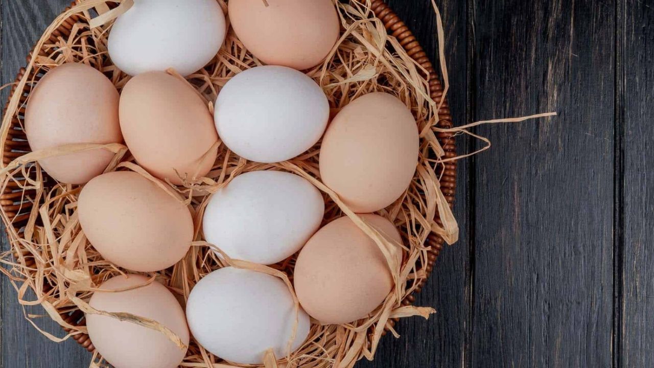 Yumurta sevmeyenleri proteine doyuracak besin! Her gün tabak tabak yemek isteyeceksiniz