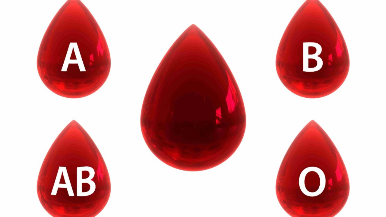 Kan grubunuz kim olduğunuzu ortaya çıkarıyor! Kan grubuna göre kişilik testi!
