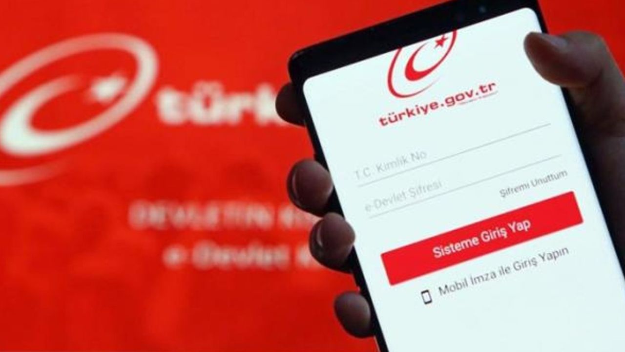 e-Devlet'te binlerce liranız kalmış olabilir! Tek tıkla ne kadarınız var öğrenin