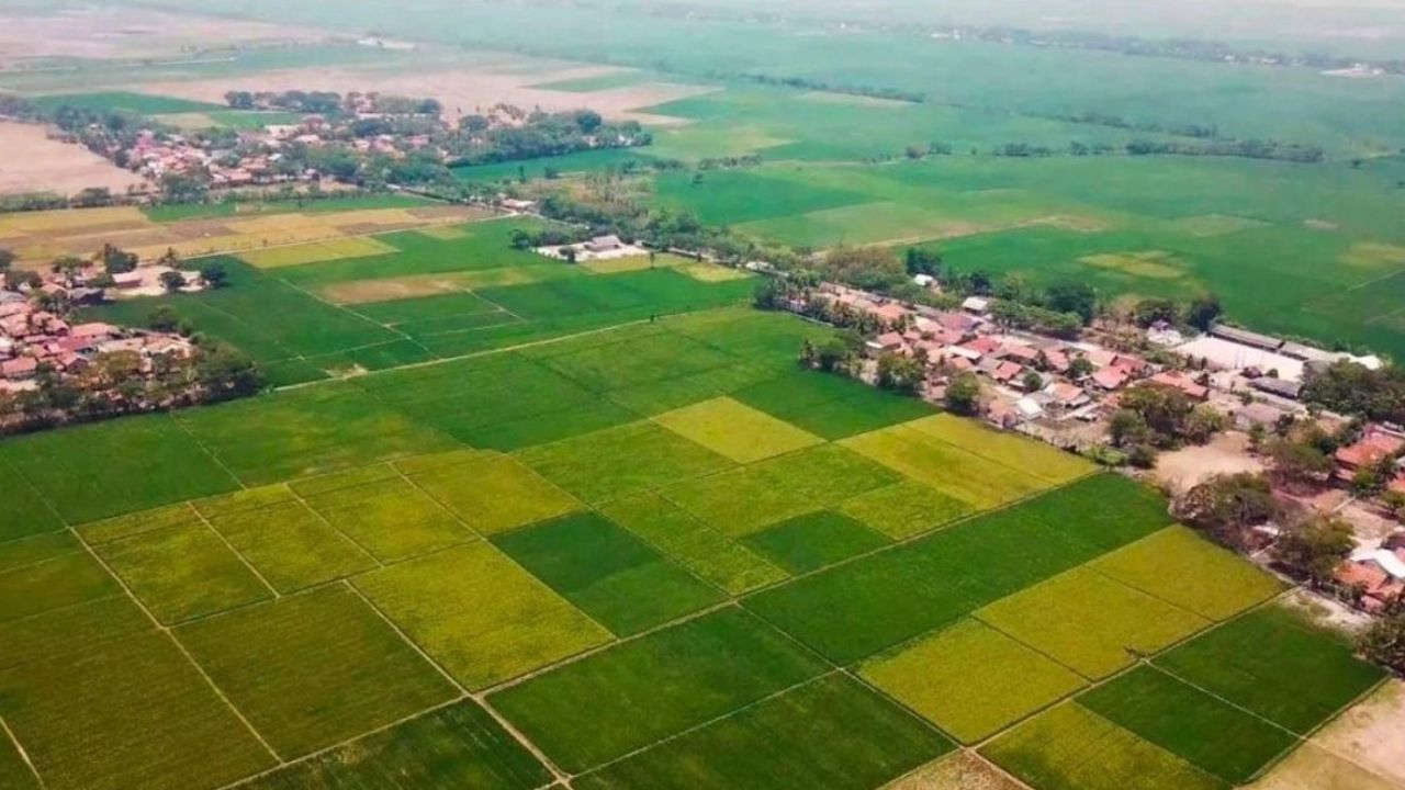 Cep telefonu parasına arsa fırsatı! Milli Emlak bedavadan biraz pahalıya arsa satıyor!