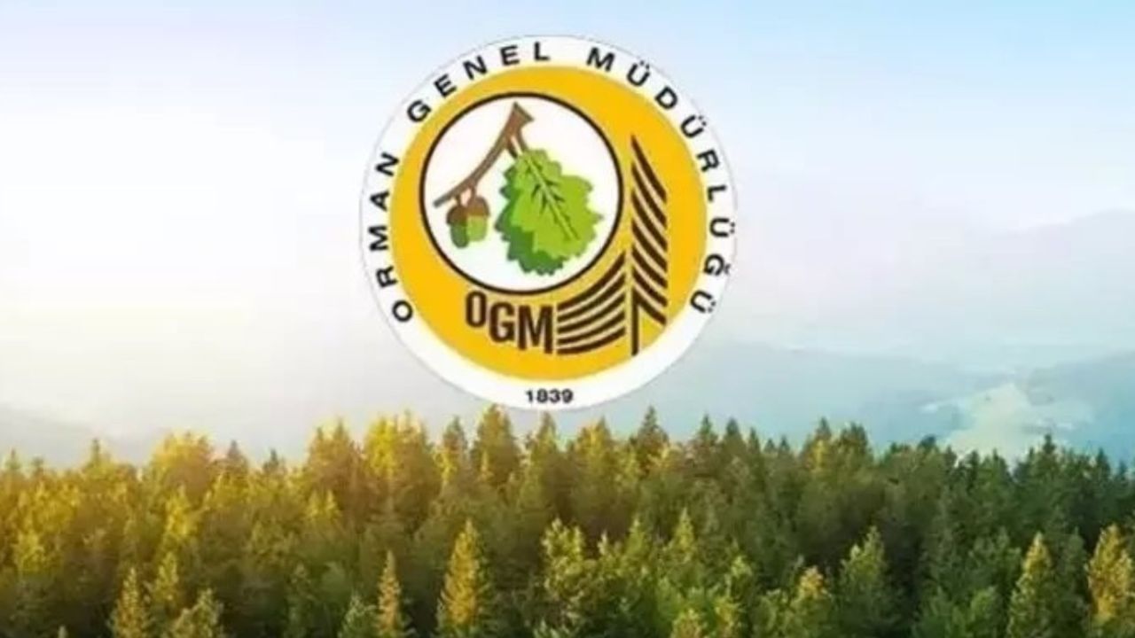 Başvuru formunu hazırlayın! Orman Genel Müdürlüğü personel alımı yapacak!