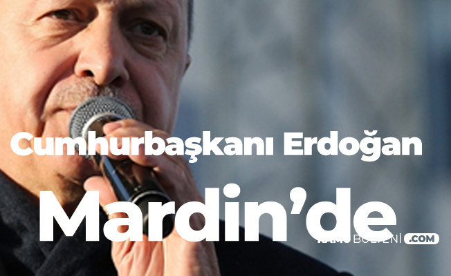 Cumhurbaşkanı Erdoğan Mardin'de Konuştu: İlan Ediyoruz...