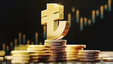 Dijital Türk Lirası İçin Geri Sayım Başladı: 2026 Yılı Kritik Eşik Olacak