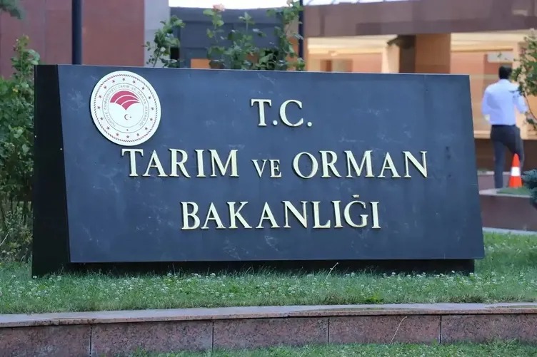 Tarım ve Orman Bakanlığı Personel Alımı Sonuçları Açıklandı! KPSS Puanıyla Atanan Adaylar İçin Kritik Süreç Başladı