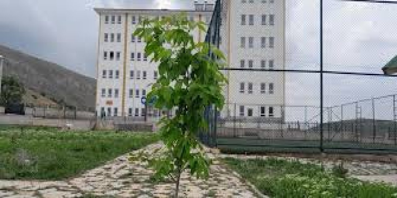 Gümüşhane'de Okulda Zehirlenme Alarmı: 29 Öğrenci Hastanelik Oldu!