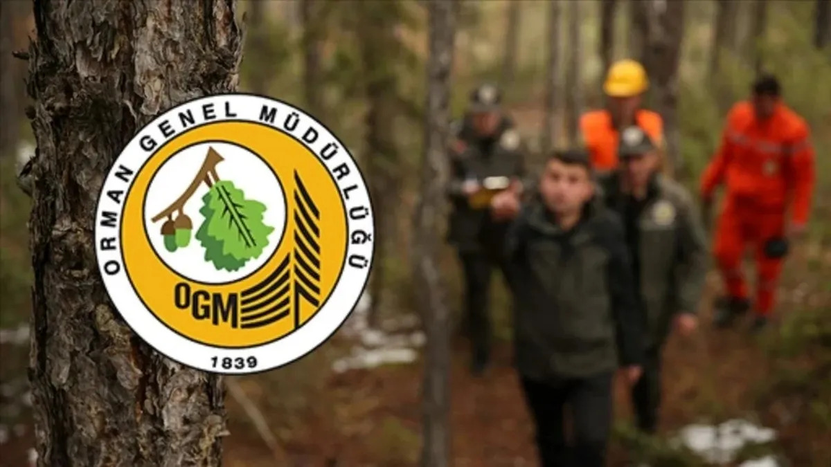 Orman Genel Müdürlüğü 496 Personel Alıyor! KPSS Puanıyla Başvuru Ekranı Açıldı