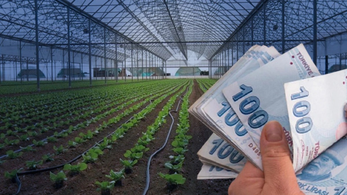 Tarımda Dev Yatırım: Organize Bölgelere 6 Milyar Lira Destek, 8 Bin Kişiye İş Kapısı Oldu