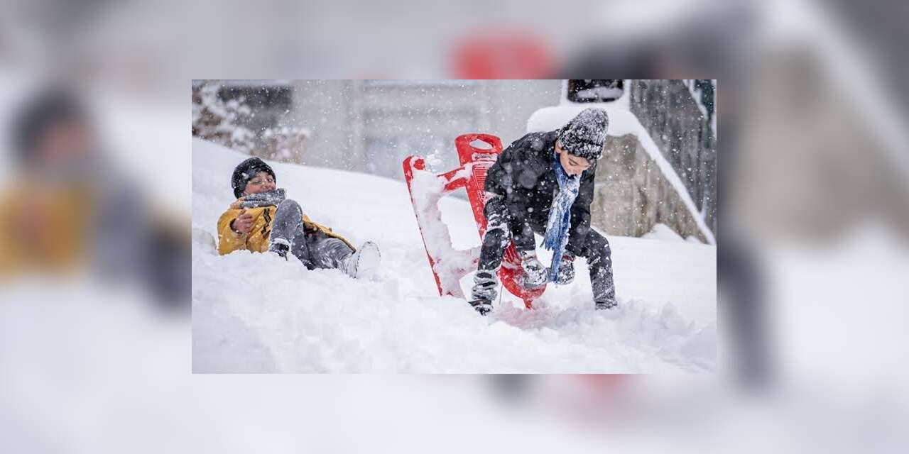 Bakan Yusuf Tekin Eleştirileri Yargıya Taşıdı