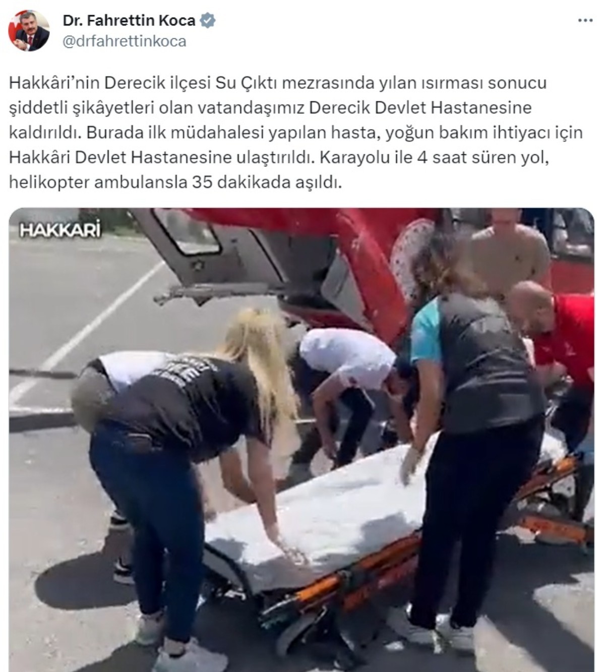 Türkiye'yi istila ettiler! Karşısına kim çıkarsa ısırıp bırakıyor