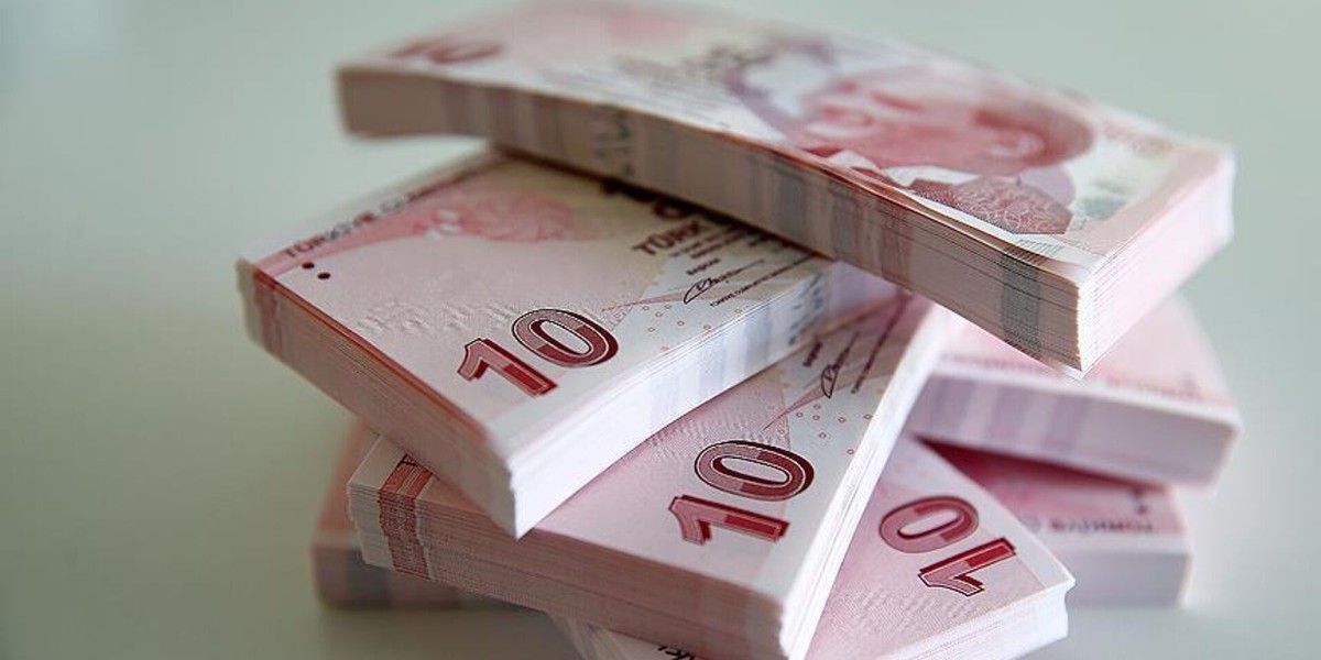 e-devlet üzerinde unutulmuş paranız olabilir
