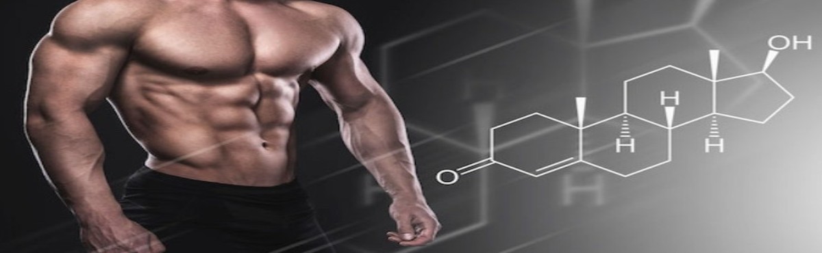 erkeklerin testosreron seviyeleri
