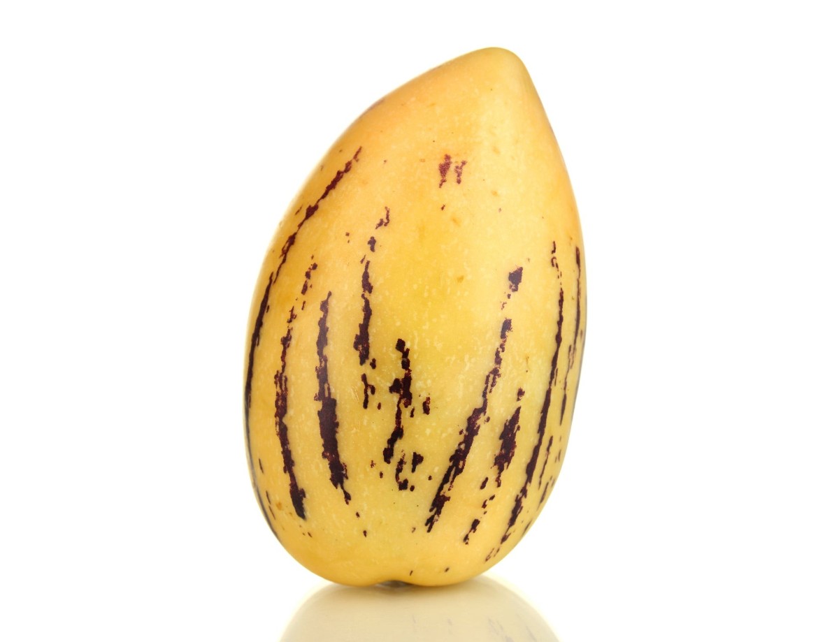 Pepino, tropikal bir meyve