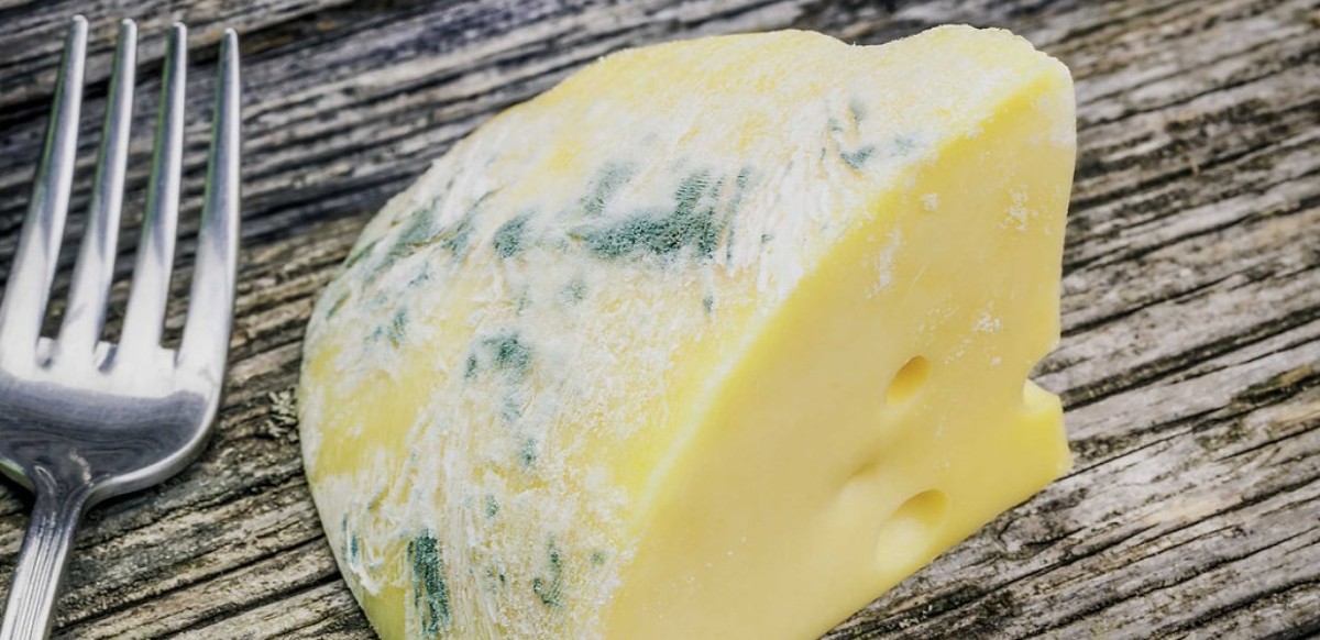 küflü peynir yemenin bir zararı var mı