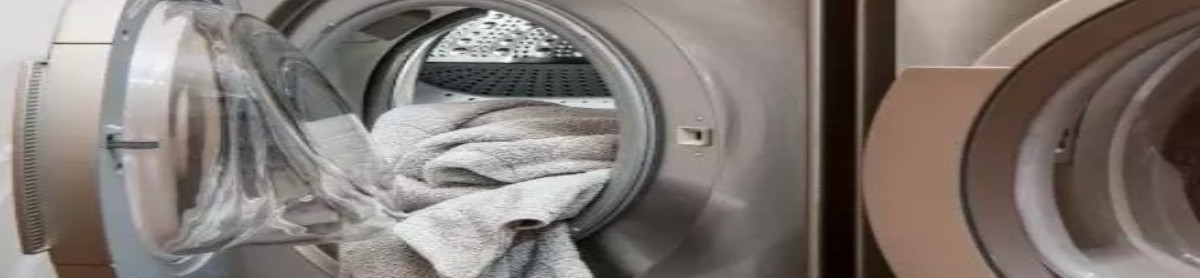 kola ile çamaşır makinesi temizleme