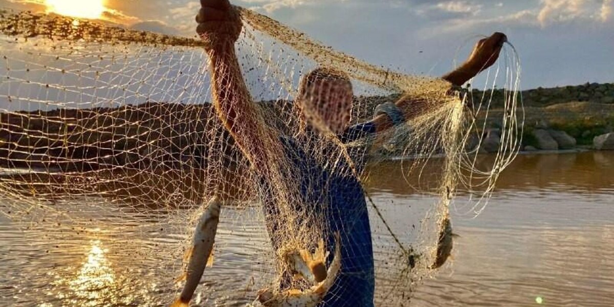 balık avı yasakları başladı