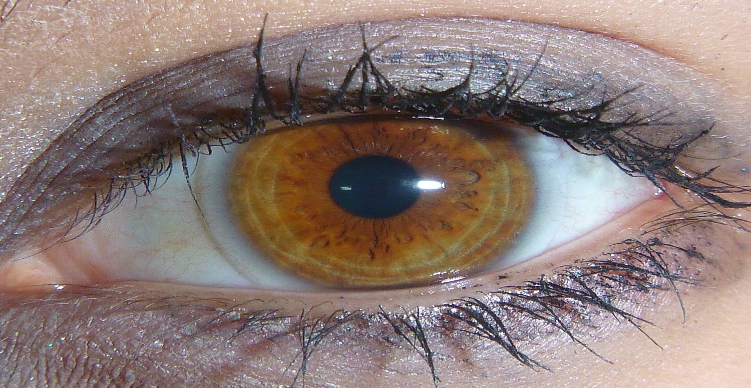 göz rengi