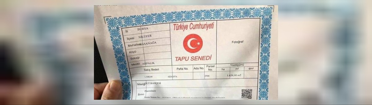 TAPU DEVİRLERİNDE İCRA RİSKİ: HİSSELİ TAPU SAHİPLERİNİ NELER BEKLİYOR?