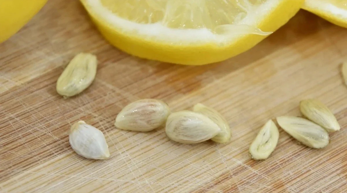 Limonun çekirdekleri ve kabukları doğal bir temizleme