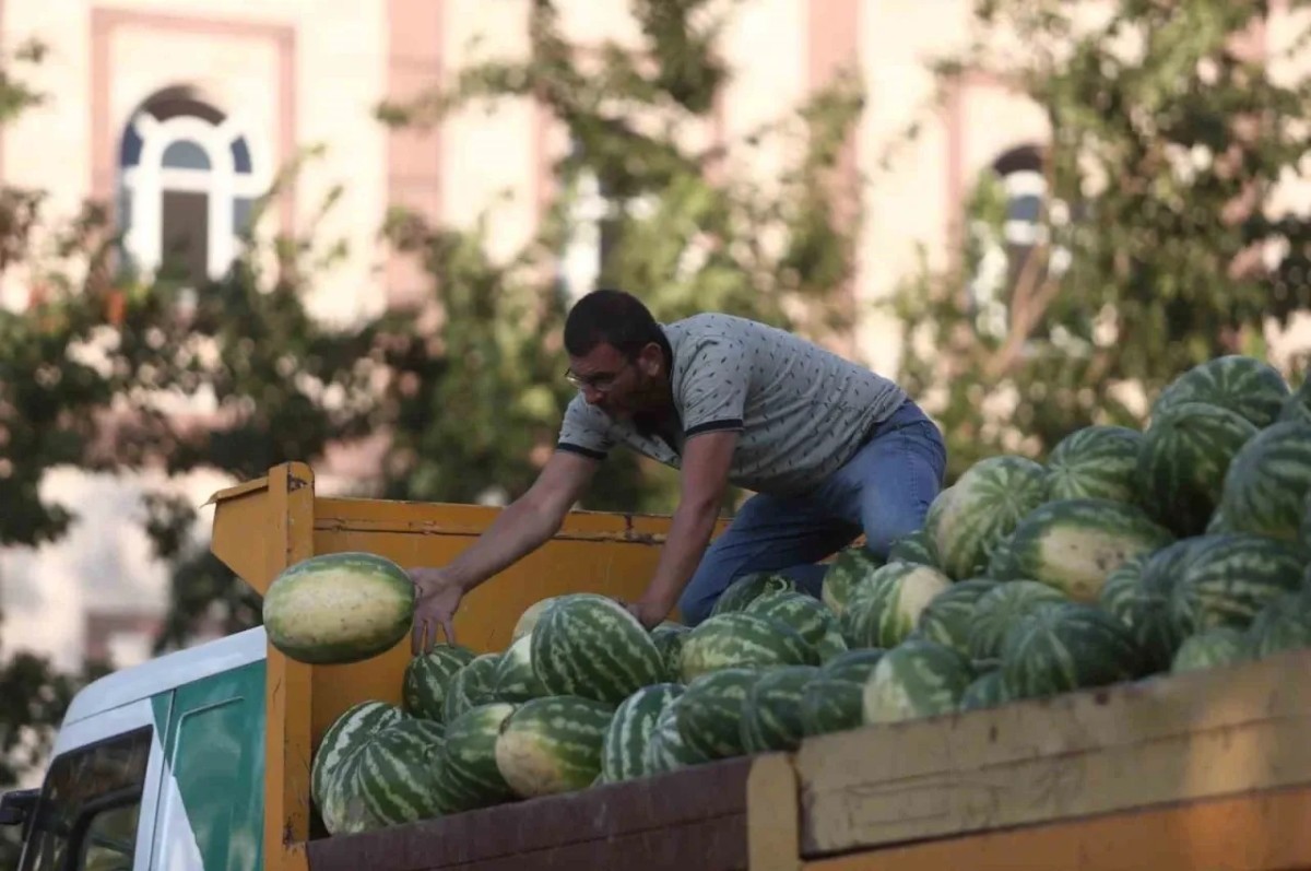 Binlerce vatandaşa ücretsiz dağıtılacak